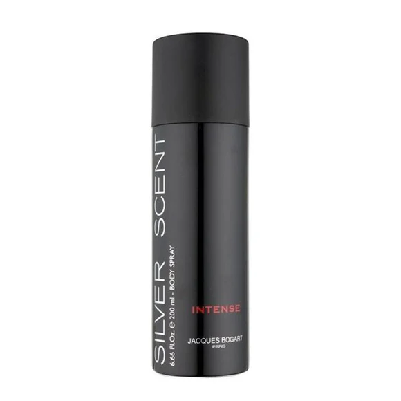 مزيل عرق للرجال Silver Scent Intense